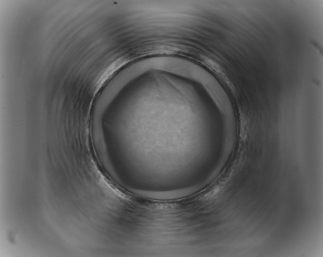 X0000101470802200807211335