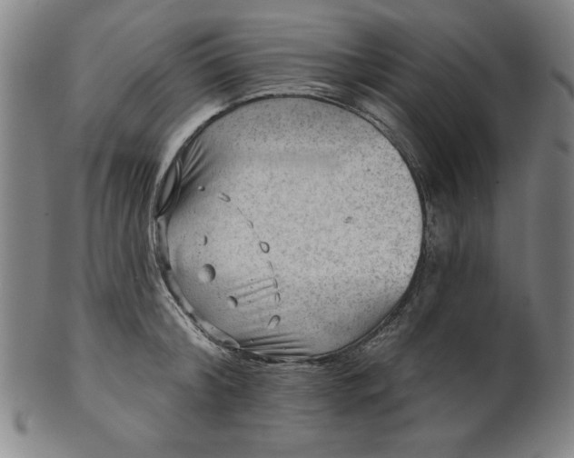 X0000101470804200807211335