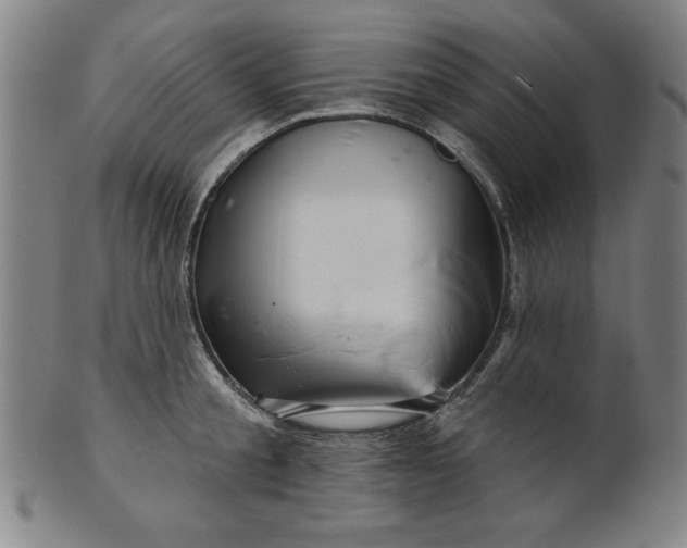 X0000101470805200807211335