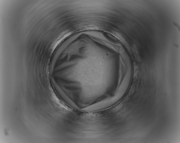 X0000101470806200807211335