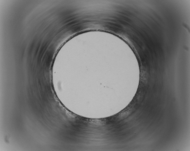 X0000101470807200807211335