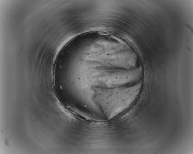 X0000101470808200807211335