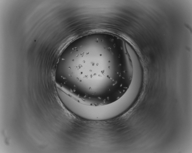 X0000101470809200807211335