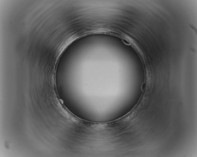 X0000101470810200807211335