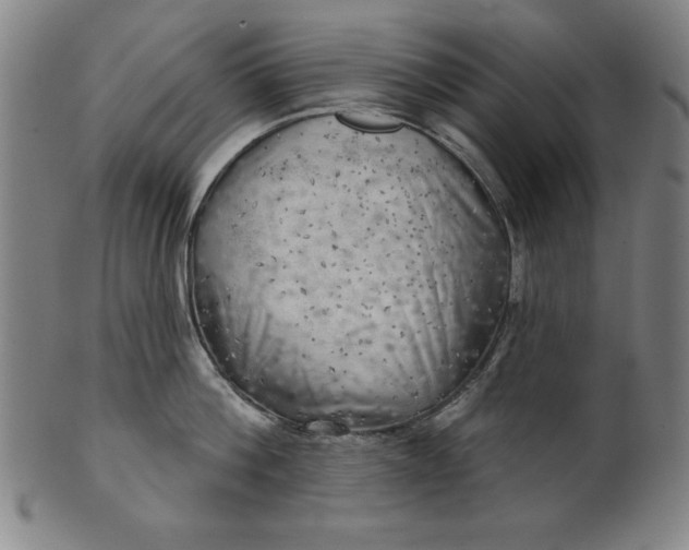 X0000101470812200807211335