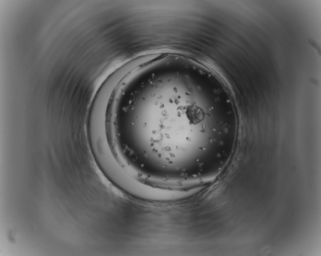 X0000101470813200807211335