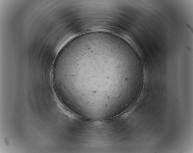 X0000101470814200807211335