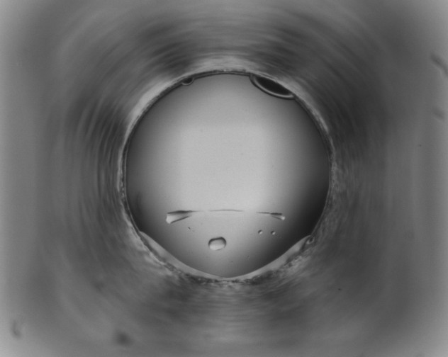 X0000101470815200807211335