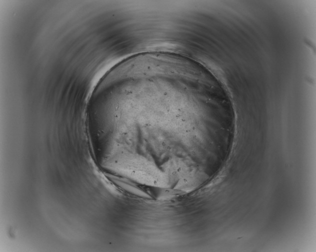 X0000101470816200807211335