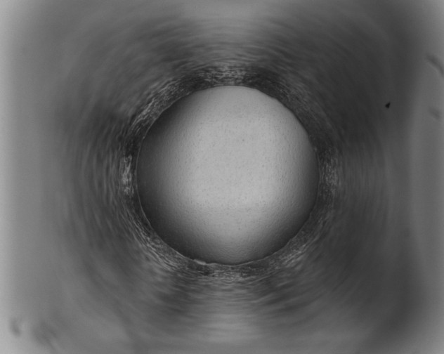 X0000101470818200807211334