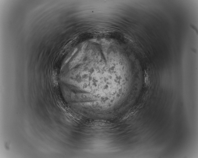 X0000101470819200807211334