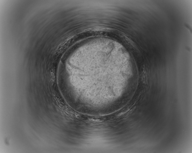 X0000101470821200807211334