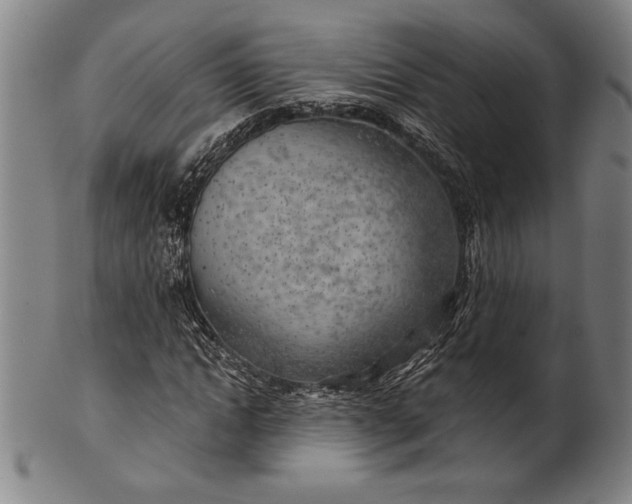 X0000101470822200807211334