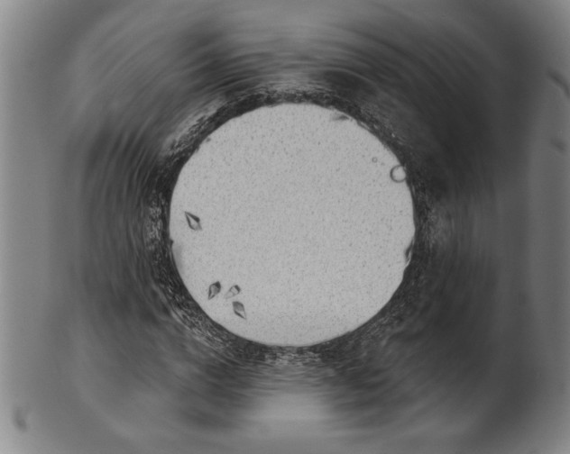 X0000101470824200807211334