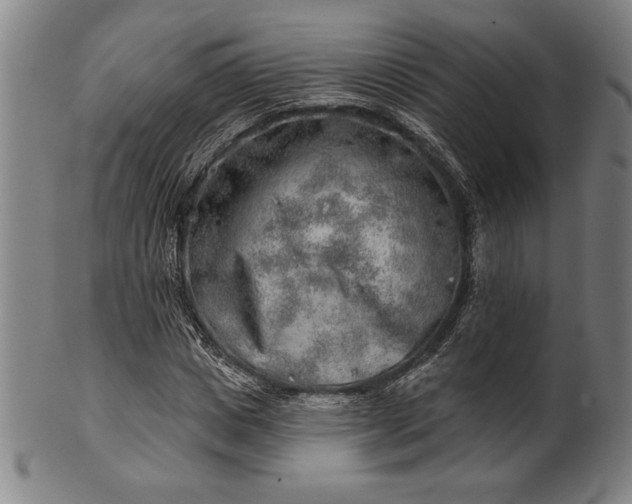 X0000101470825200807211334