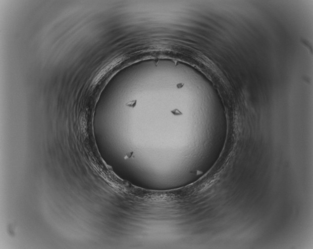 X0000101470826200807211334