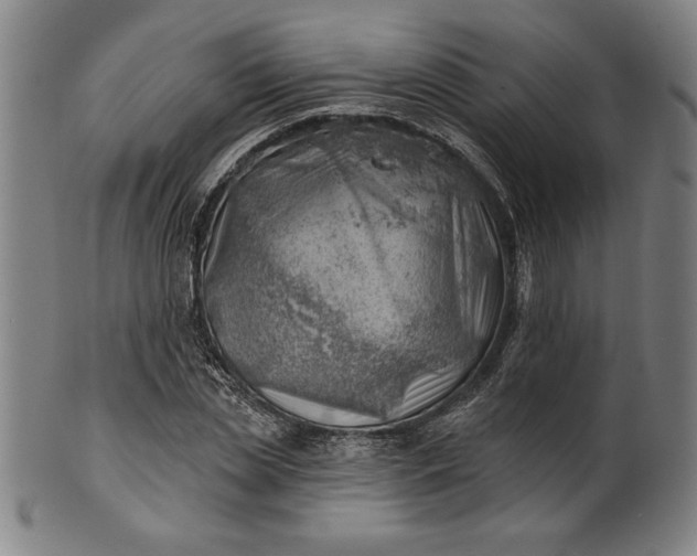 X0000101470829200807211335