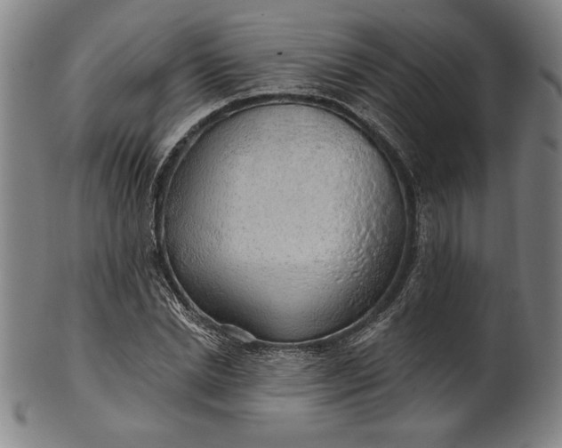 X0000101470830200807211335