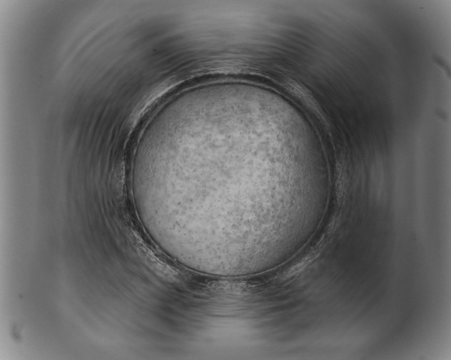 X0000101470831200807211335