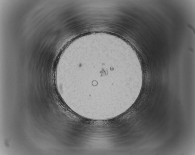 X0000101470832200807211335