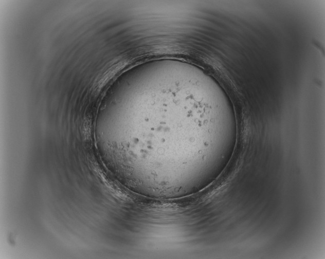 X0000101470833200807211335