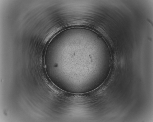 X0000101470834200807211335