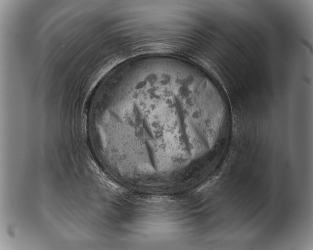 X0000101470835200807211335