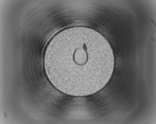 X0000101470836200807211335