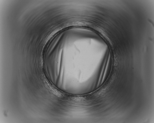 X0000101470837200807211335