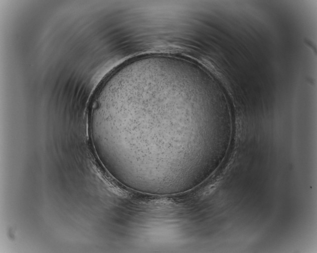 X0000101470838200807211335