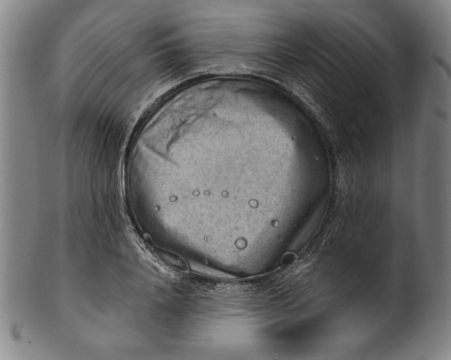 X0000101470840200807211335