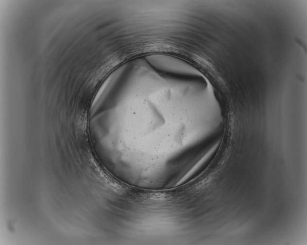 X0000101470841200807211335