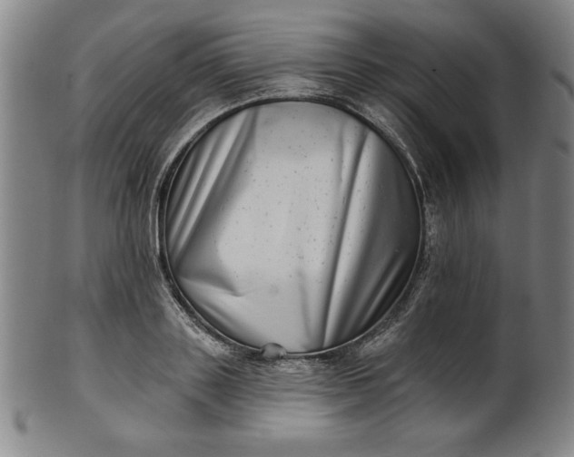 X0000101470843200807211335