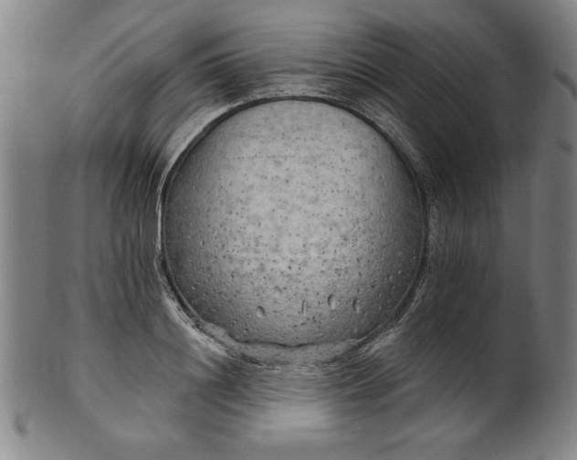 X0000101470844200807211335