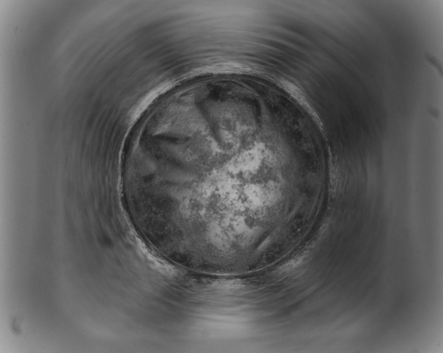 X0000101470845200807211335