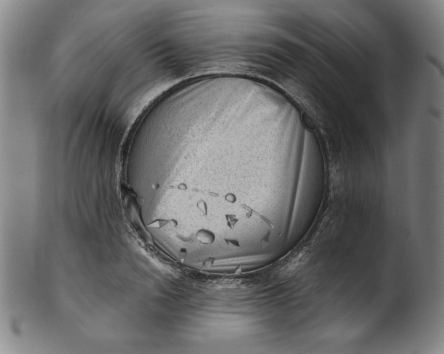 X0000101470846200807211335