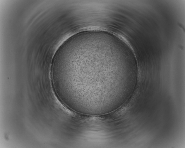 X0000101470847200807211335