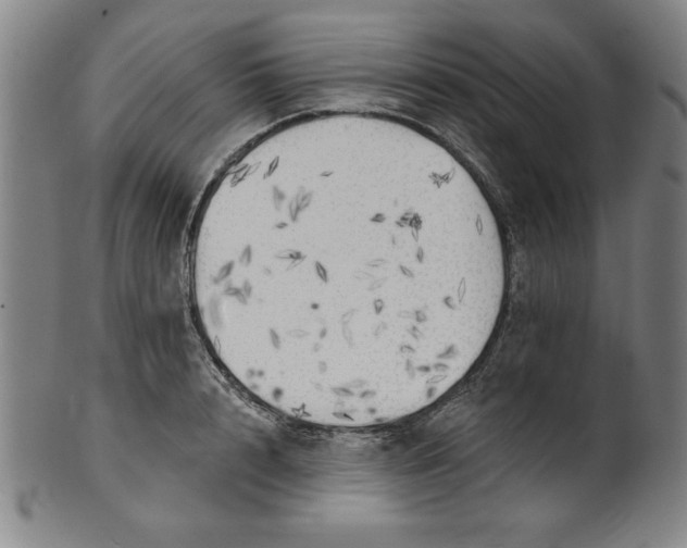 X0000101470848200807211335