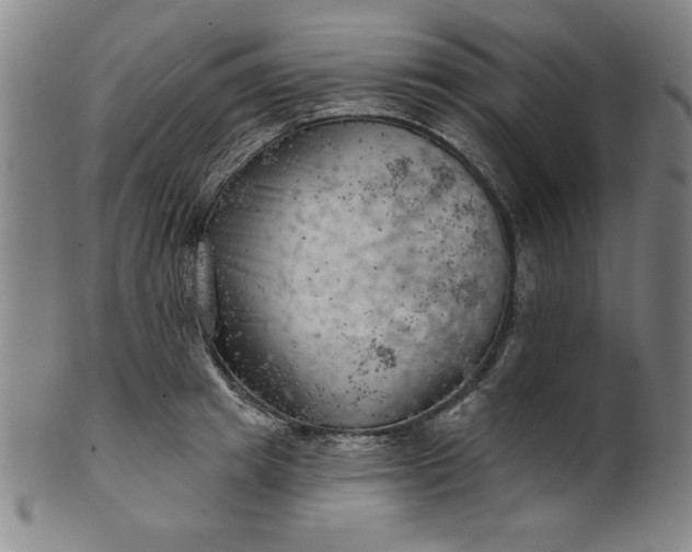 X0000101470849200807211335