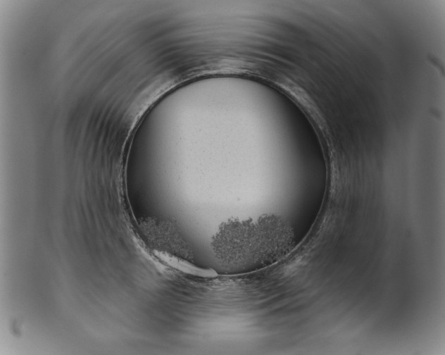 X0000101470850200807211335