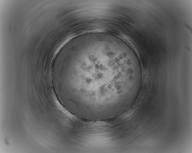 X0000101470851200807211335