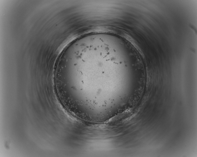 X0000101470853200807211335