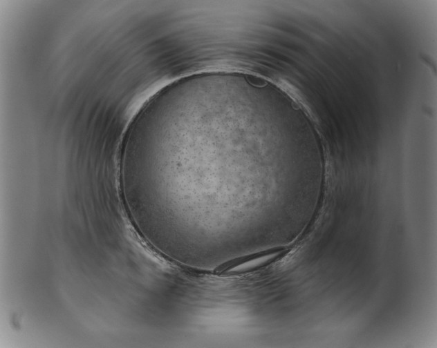 X0000101470854200807211335