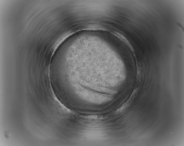 X0000101470855200807211335