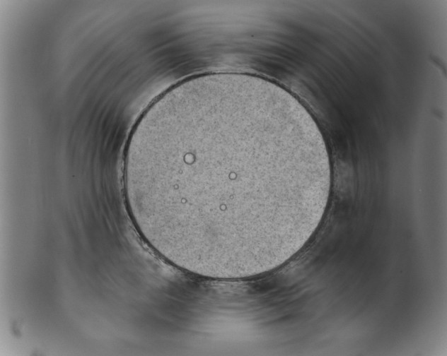 X0000101470856200807211335