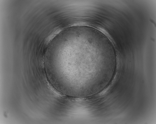 X0000101470857200807211335