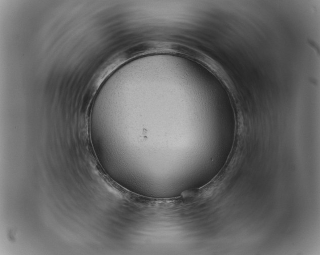 X0000101470858200807211335