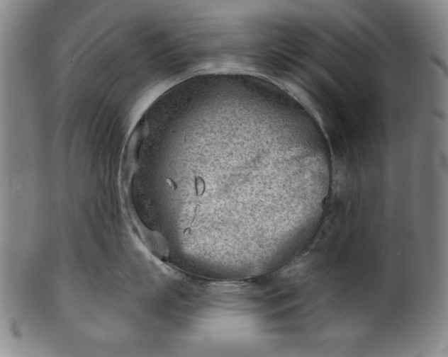 X0000101470863200807211335