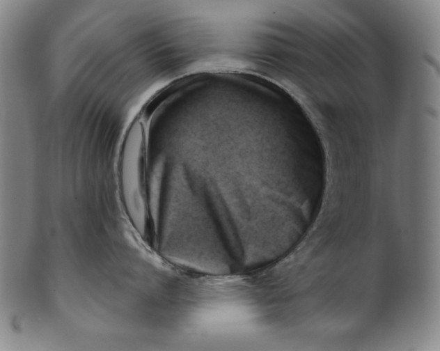 X0000101470864200807211335