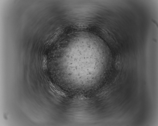 X0000101470866200807211334